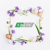 Kinetic Nursing Services