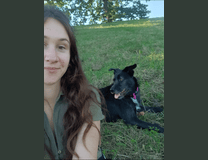 Live in care Profile - 40678